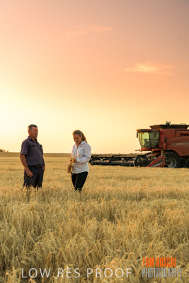 December 2019 / BARLEY_HARVEST_GERANIUM_191210_254