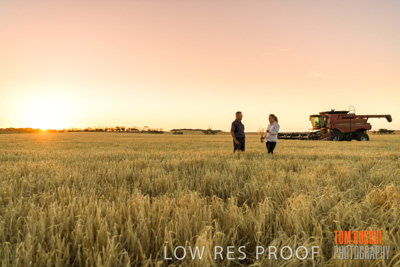 December 2019 / BARLEY_HARVEST_GERANIUM_191210_260