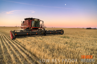 December 2019 / BARLEY_HARVEST_GERANIUM_191210_270