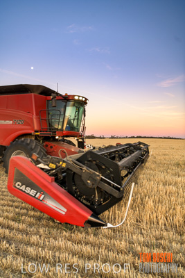 December 2019 / BARLEY_HARVEST_GERANIUM_191210_273