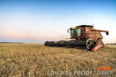 December 2019 / BARLEY_HARVEST_GERANIUM_191210_290