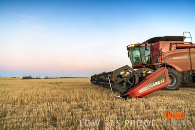 December 2019 / BARLEY_HARVEST_GERANIUM_191210_292
