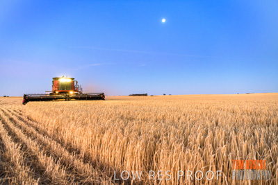 December 2019 / BARLEY_HARVEST_GERANIUM_191210_327