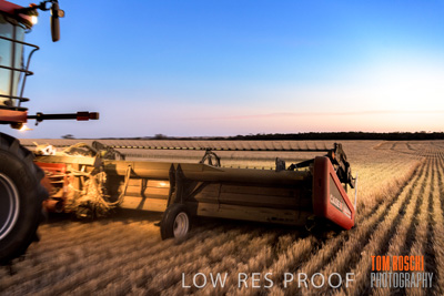 December 2019 / BARLEY_HARVEST_GERANIUM_191210_333