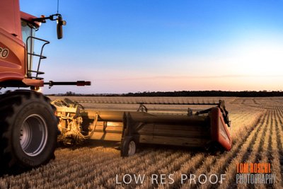 December 2019 / BARLEY_HARVEST_GERANIUM_191210_335