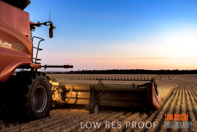 December 2019 / BARLEY_HARVEST_GERANIUM_191210_336