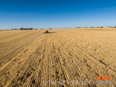 December 2019 / untitled-0832