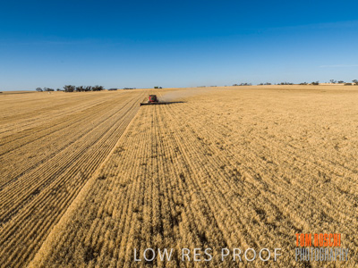 December 2019 / untitled-0835