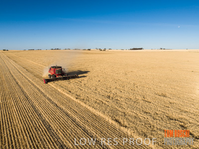 December 2019 / untitled-0850