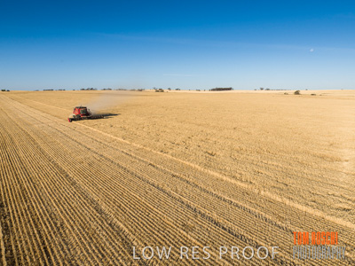 December 2019 / untitled-0859