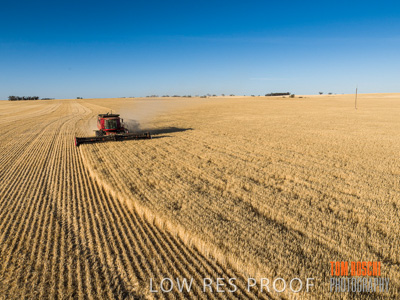 December 2019 / untitled-0880