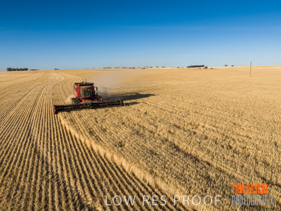 December 2019 / untitled-0883