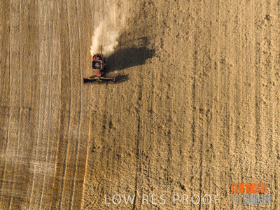 December 2019 / untitled-0912