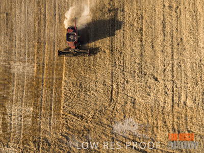 December 2019 / untitled-0915