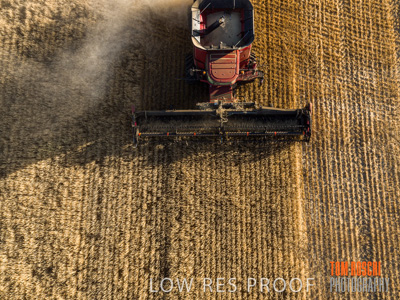 December 2019 / untitled-0927