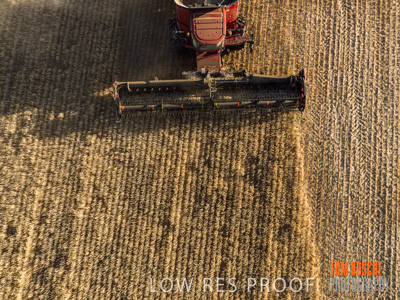 December 2019 / untitled-0933