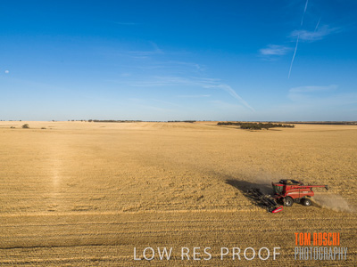 December 2019 / untitled-0970