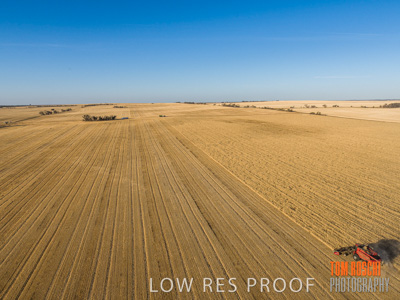 December 2019 / untitled-0982