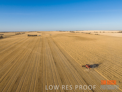 December 2019 / untitled-0985