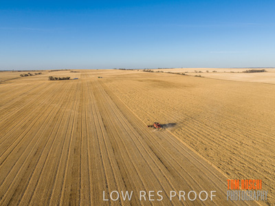 December 2019 / untitled-0988