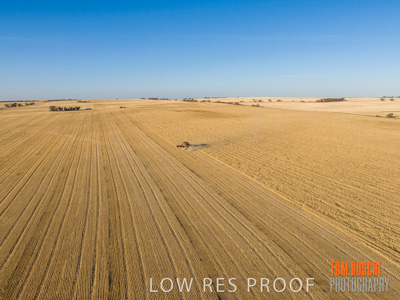 December 2019 / untitled-0991