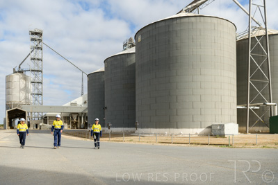 December 2020 / Tailem_Bend_201221_0299