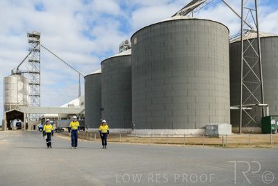 December 2020 / Tailem_Bend_201221_0313