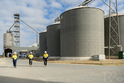 December 2020 / Tailem_Bend_201221_0326