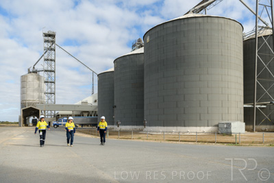 December 2020 / Tailem_Bend_201221_0348