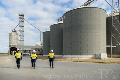 December 2020 / Tailem_Bend_201221_0350