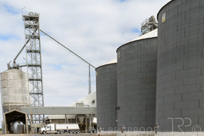 December 2020 / Tailem_Bend_201221_0486