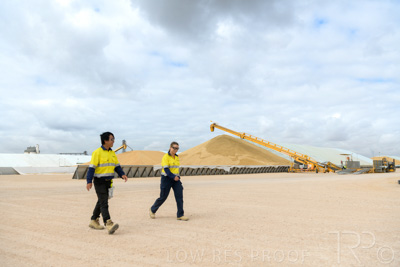 December 2020 / Tailem_Bend_201221_0494