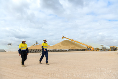 December 2020 / Tailem_Bend_201221_0519