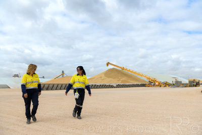 December 2020 / Tailem_Bend_201221_0533