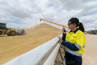 December 2020 / Tailem_Bend_201221_0644