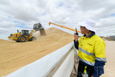 December 2020 / Tailem_Bend_201221_0650