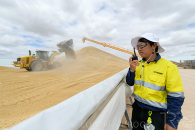 December 2020 / Tailem_Bend_201221_0652