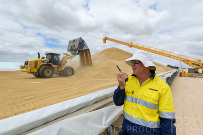 December 2020 / Tailem_Bend_201221_0662