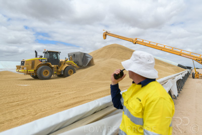 December 2020 / Tailem_Bend_201221_0666