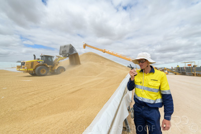 December 2020 / Tailem_Bend_201221_0686