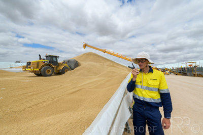 December 2020 / Tailem_Bend_201221_0693