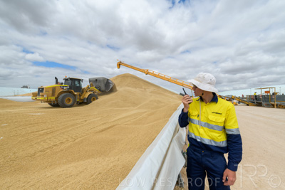 December 2020 / Tailem_Bend_201221_0696
