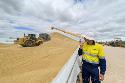 December 2020 / Tailem_Bend_201221_0697