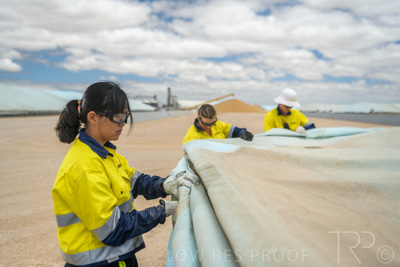 December 2020 / Tailem_Bend_201221_0753