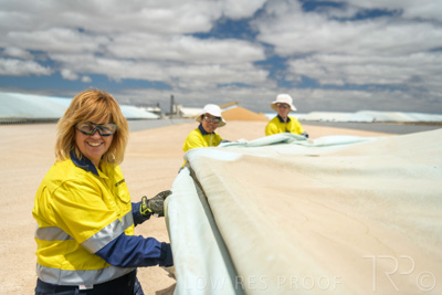 December 2020 / Tailem_Bend_201221_0766