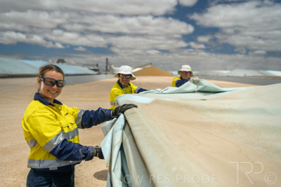 December 2020 / Tailem_Bend_201221_0776