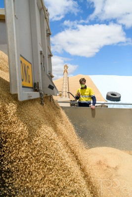 December 2020 / Tailem_Bend_201221_0789