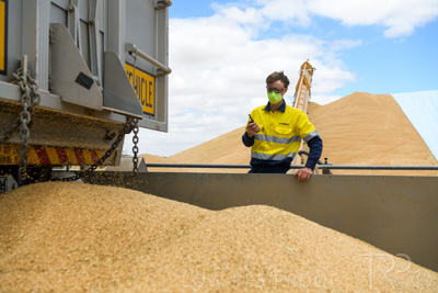 December 2020 / Tailem_Bend_201221_0808
