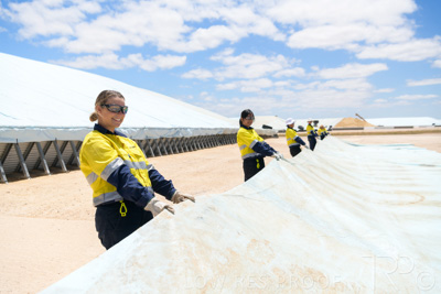 December 2020 / Tailem_Bend_201221_0834
