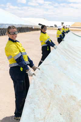 December 2020 / Tailem_Bend_201221_0842